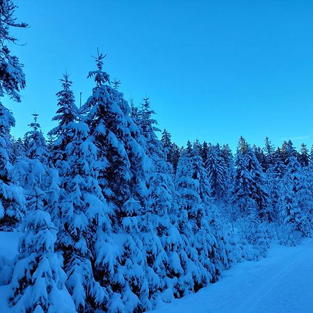 Ubytování na Lipně Černá v Pošumaví Exteriér fotografie