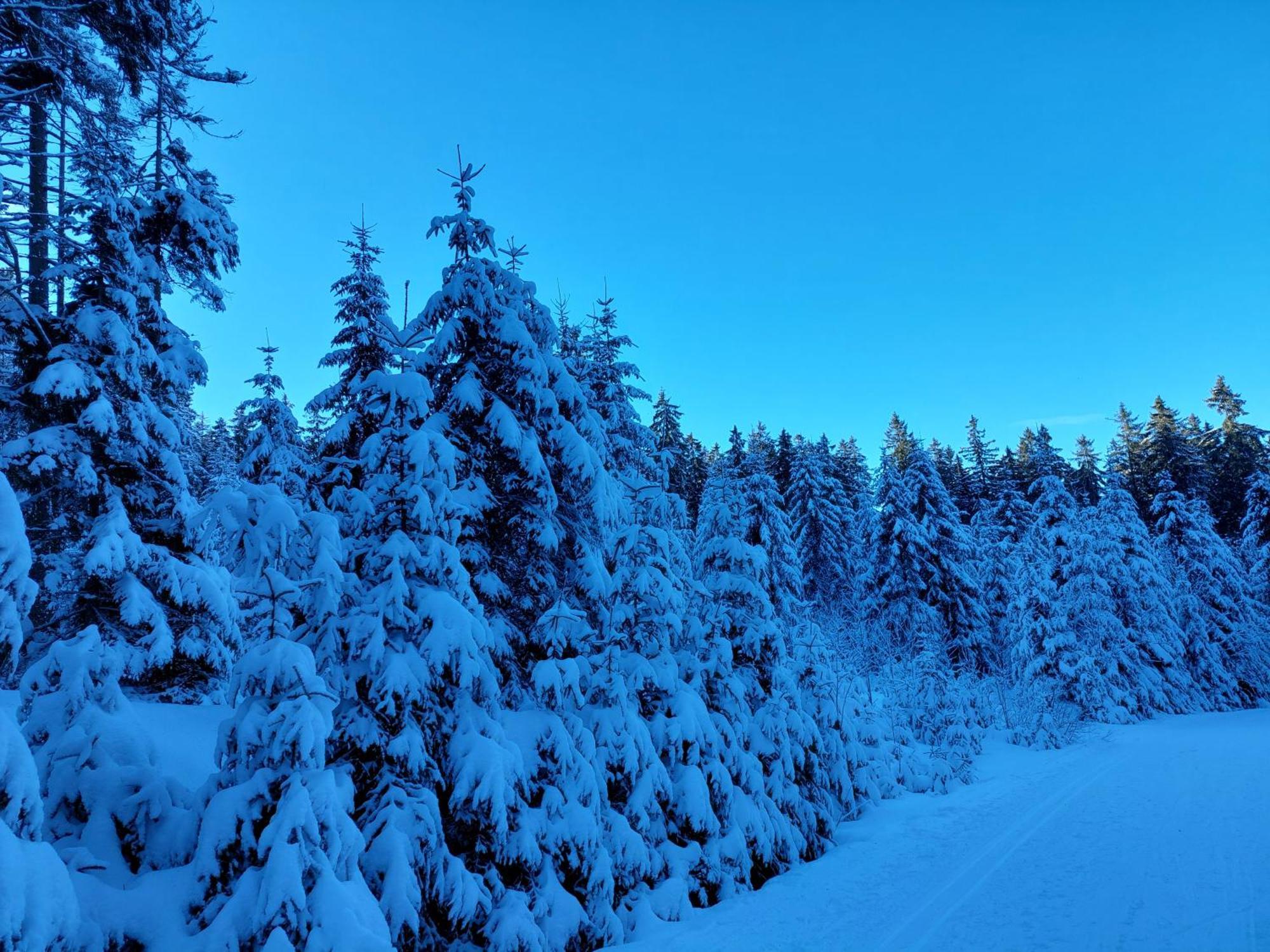 Ubytování na Lipně Černá v Pošumaví Exteriér fotografie