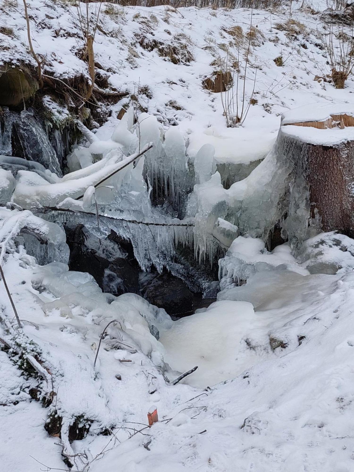 Ubytování na Lipně Černá v Pošumaví Exteriér fotografie